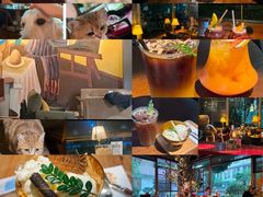 -咖法森林·咖啡  酒吧(天河店)