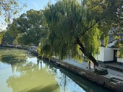 -金泽古镇