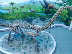 -辽宁古生物博物馆