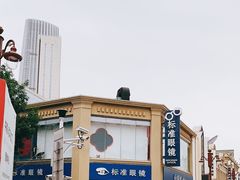 -标准眼镜·蔡司官方授权店(和平路总店)
