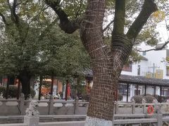 -安亭老街