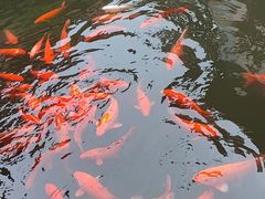 -浙江省博物馆(孤山馆区)