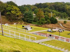 -佛手湖郊野公园