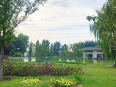-林栖谷森林康养度假区