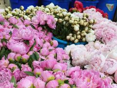 -循礼门鲜花花市(武汉循礼门店)