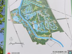 -东郊湿地公园