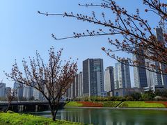 -郑东新区湿地公园