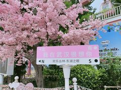 -东湖磨山景区