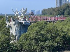 -北海金海湾红树林生态旅游区