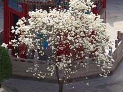 -西安市广仁寺