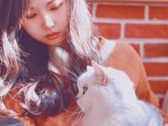-猫小院猫主题餐厅(南锣旗舰店)