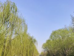 -元大都城垣遗址公园