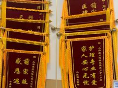 -康成宠物医院24H·CT·核磁共振