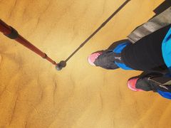 景点-恩格贝生态旅游区