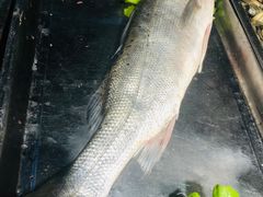 -良友·海鲜青岛菜(五四广场店)