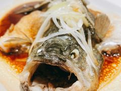 清蒸鲈鱼-紫光园·烤鸭·北京菜(劲松店)