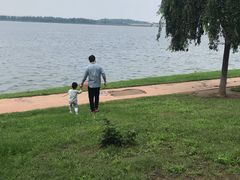-丁香湖公园