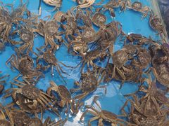 -红透天牛排海鲜自助(长和国际直营店)