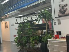 -大视光学•LINDBERG林德伯格•全球手工眼镜集合店(王府井店)