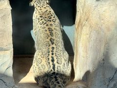 -青藏高原野生动物园