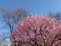 -北京明城墙遗址公园