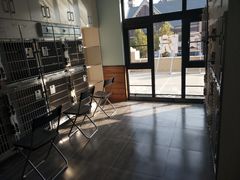 -美联众合宠物医院·爱萌分院·内外科·猫科中心