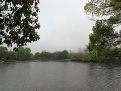-长田漾湿地公园