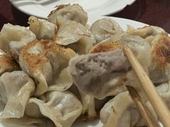 -东门饺子馆(少年宫路店)
