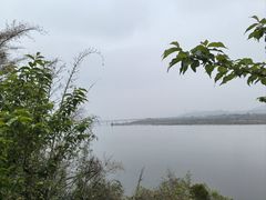 -福建鲤鱼洲酒店