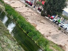 -苏家坨柳林村二月兰花海