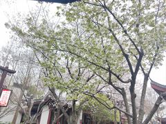 -堤角公园