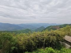 -莫干山风景区