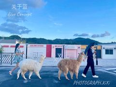 -Blue Concept Cafe&Farm·關於藍