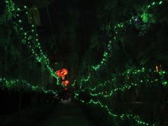 -张公山寨景区