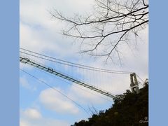-南丹山森林王国