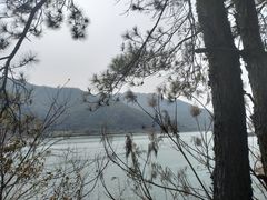 -羚羊峡古栈道森林公园