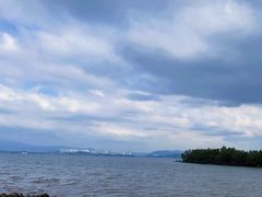 -深圳湾公园(南山区)