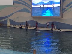 iphone_upload_pic-北戴河圣蓝海洋公园