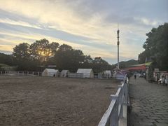 -金石滩蓝莓谷庄园