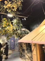 -Zoolung Zoolung动物主题公园(海信广场店)