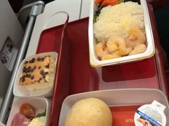 -海南海航航空信息系统公司