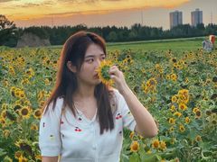 -汉长安城未央宫国家考古遗址公园