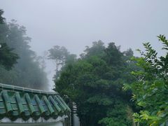 -梧桐山风景名胜区