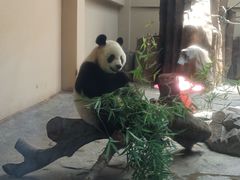 -宁波野生动物园