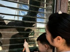 -昆明动物园