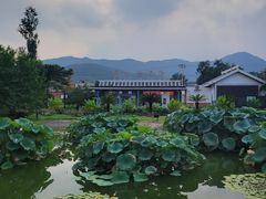 -国家植物园南园