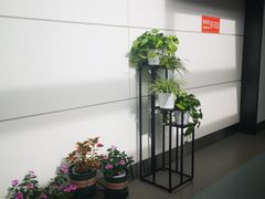 -银川河东国际机场