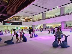 -TheRink大零溜冰场(IFS国金中心店)