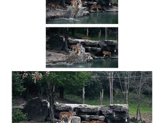 -宁波野生动物园