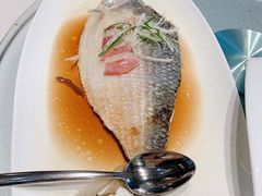 秘汁花雕蒸鲥鱼-太湖饭店·寄畅轩中餐厅